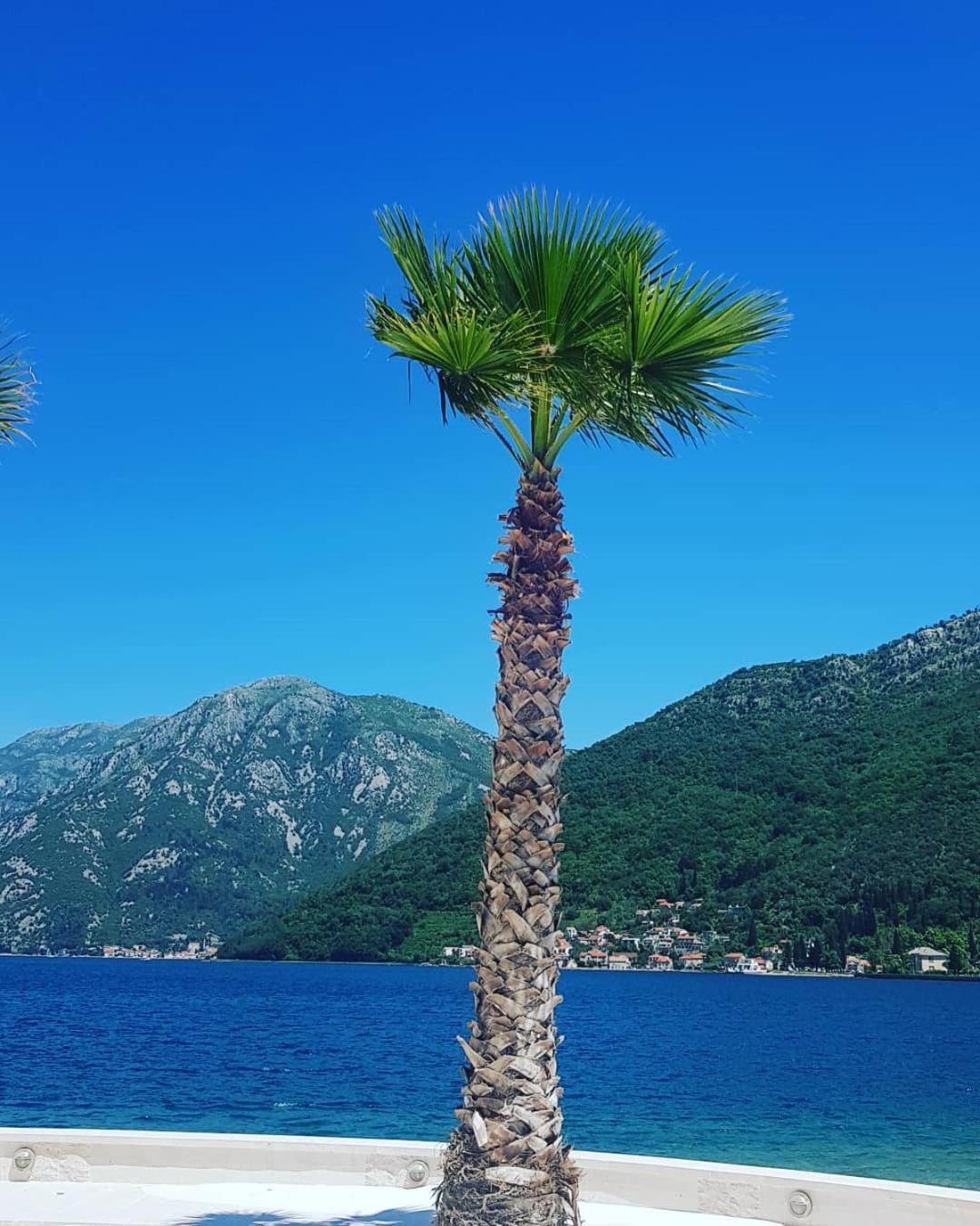 Apartman Taraca Villa Knezevic Herceg Novi Habitación foto