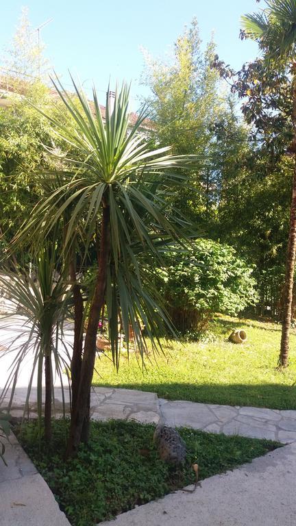 Apartman Taraca Villa Knezevic Herceg Novi Exterior foto